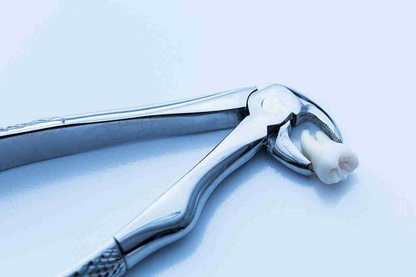 Dental extraction forceps used in oral surgery